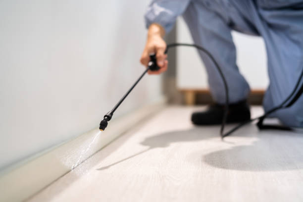 Rodent Entry Point Assessment in Estacada
