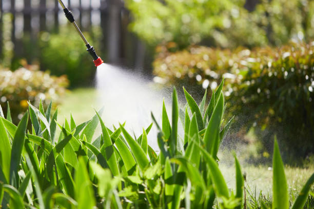 Tamper-Resistant Bait Stations for Rodents in Estacada