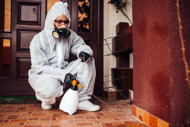 Attic and Crawl Space Rodent Treatment in Estacada